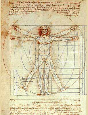 Leonardos Illustration zu menschlichen Proportionen